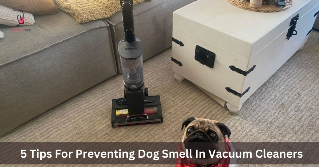 5 Tips For Preventing Dog Smell In Vacuum Cleaners - ( Best Tips )