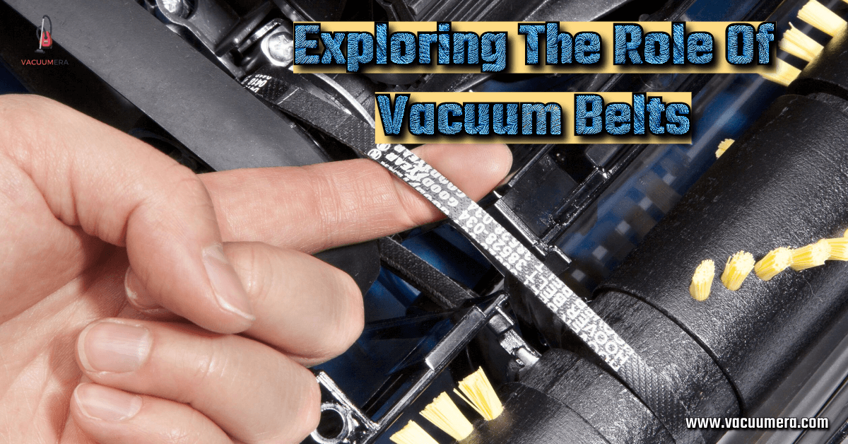 Exploring The Role Of Vacuum Belts