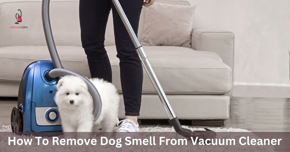 How To Remove Dog Smell From Vacuum Cleaner