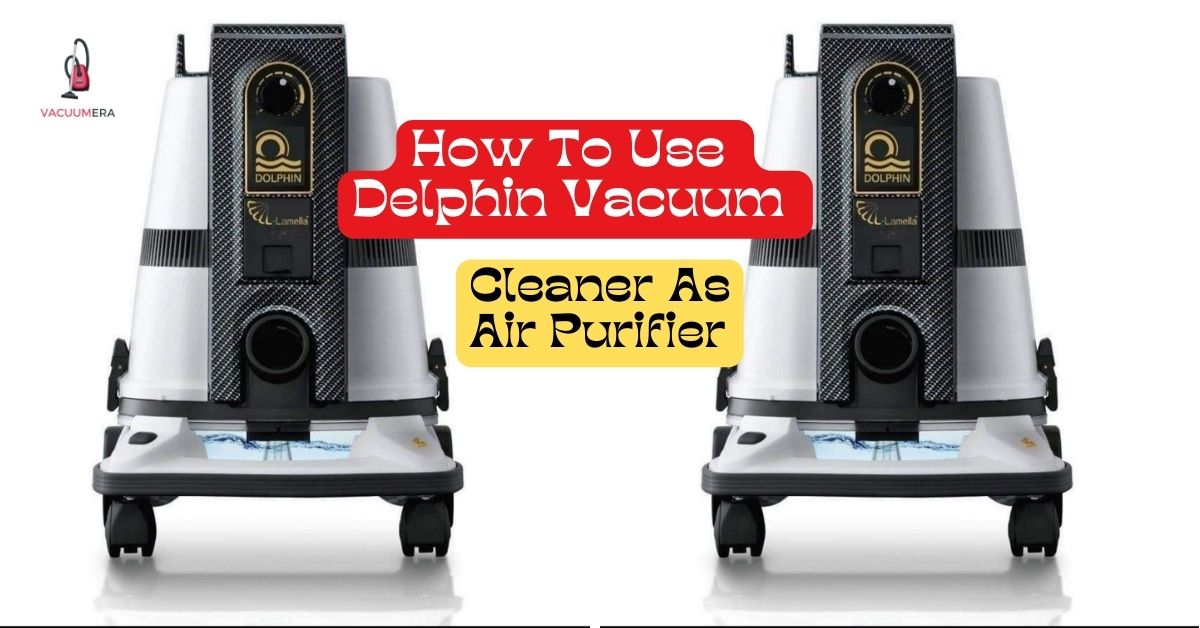 How To Use Delphin Vacuum Cleaner As Air Purifier