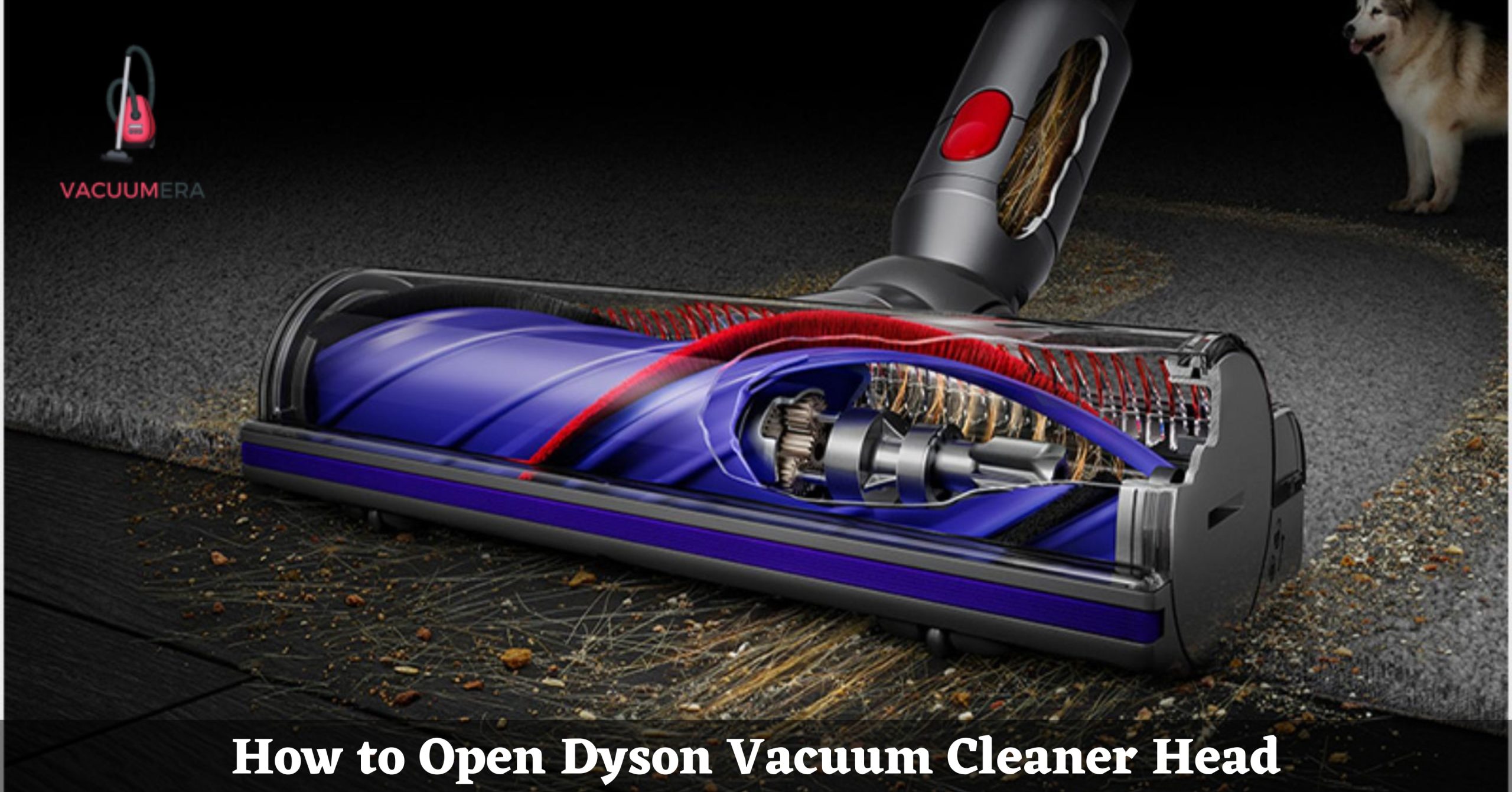 How to Open Dyson Vacuum Cleaner Head