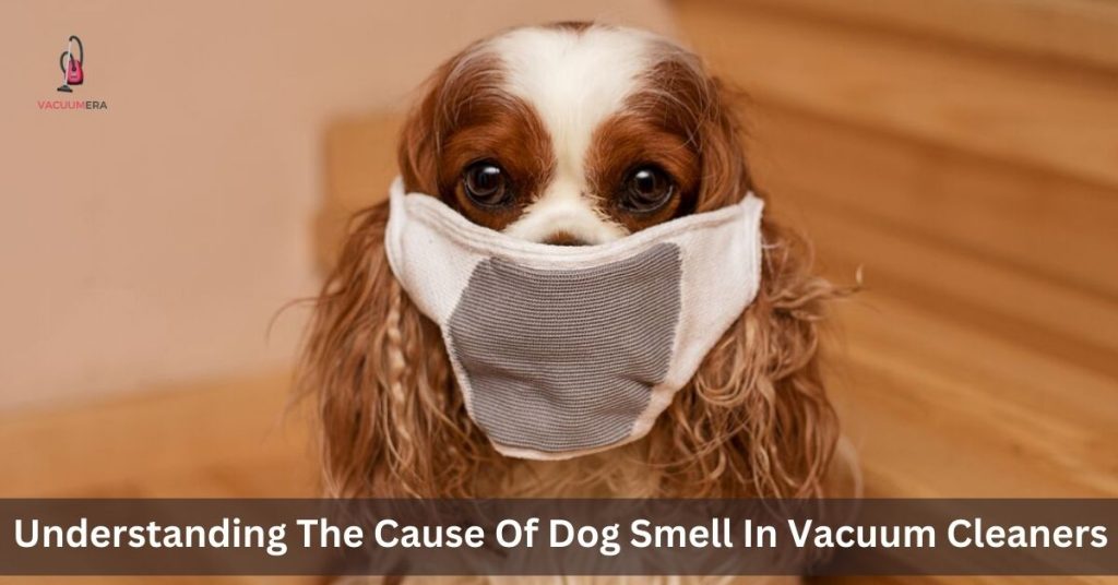 Understanding The Cause Of Dog Smell In Vacuum Cleaners