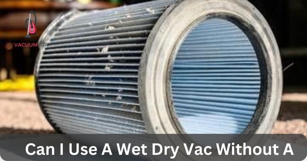 Can I Use A Wet Dry Vac Without A Filter?