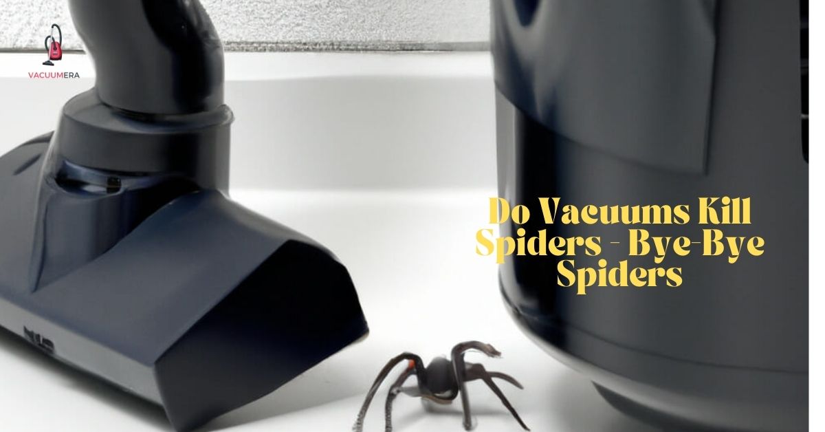 Do Vacuums Kill Spiders - Bye-Bye Spiders