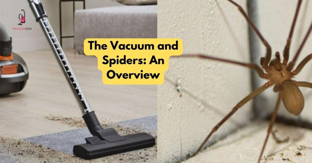 The Vacuum and Spiders An Overview