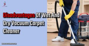 Disadvantages Of Wet And Dry Vacuum Cleaner
